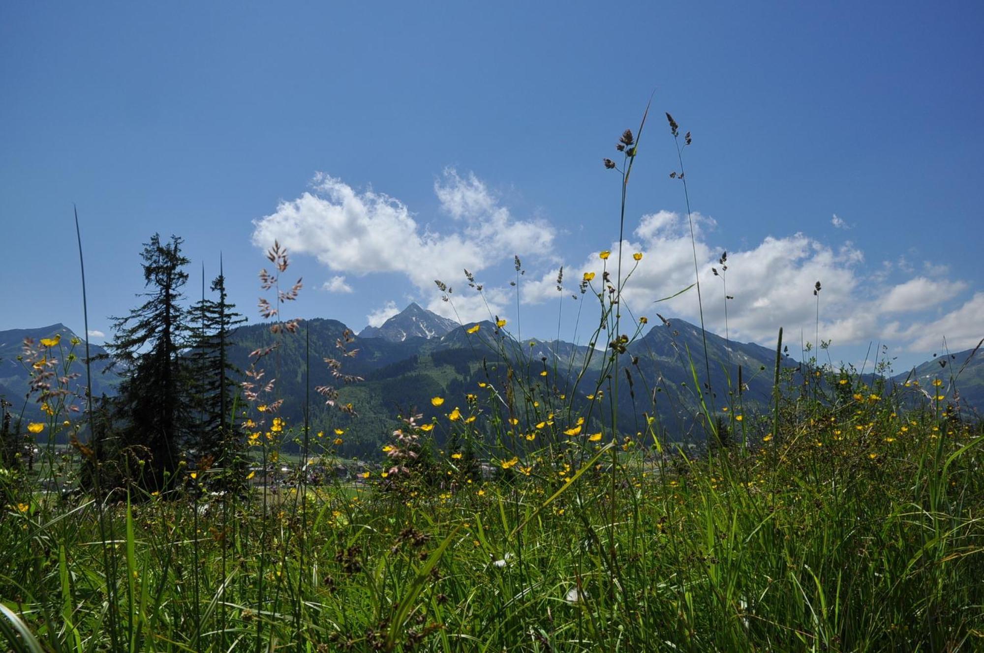 Landhaus Alpensonne Шатвалд Екстериор снимка