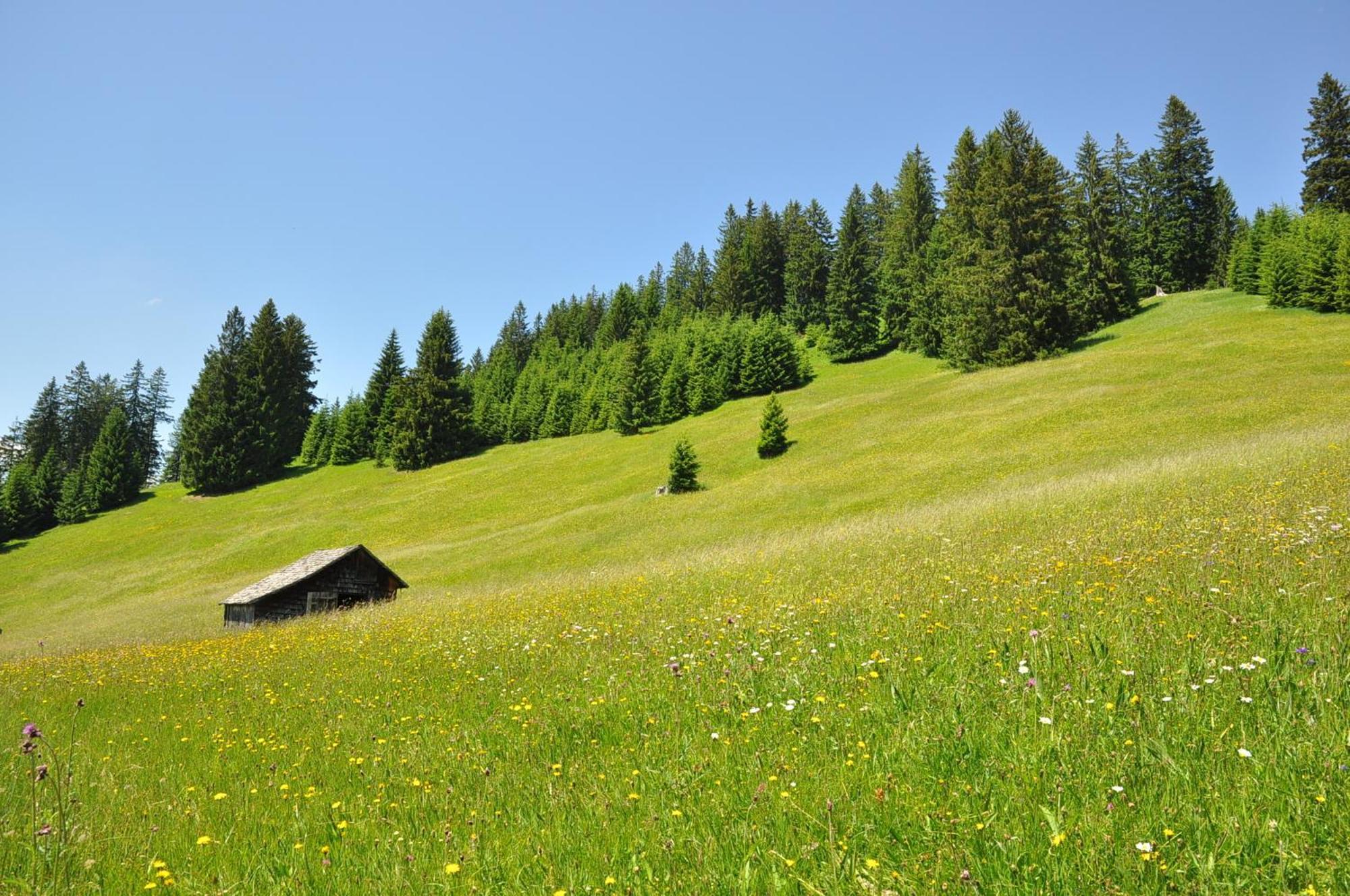 Landhaus Alpensonne Шатвалд Екстериор снимка